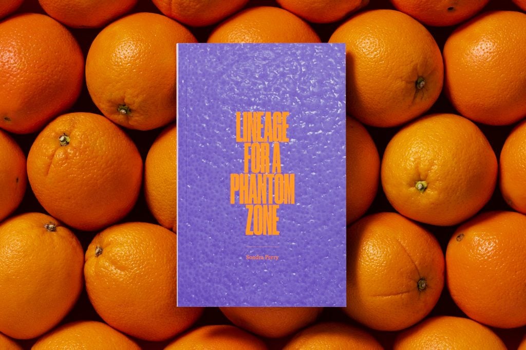 An purple book with the title "Lineage for a Phantom Zone" displayed on a bed of oranges