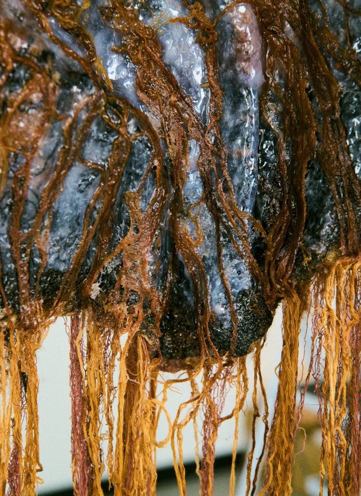 A close-up of an organic, textured artwork featuring glistening dark surfaces intertwined with rust-colored fibrous strands.