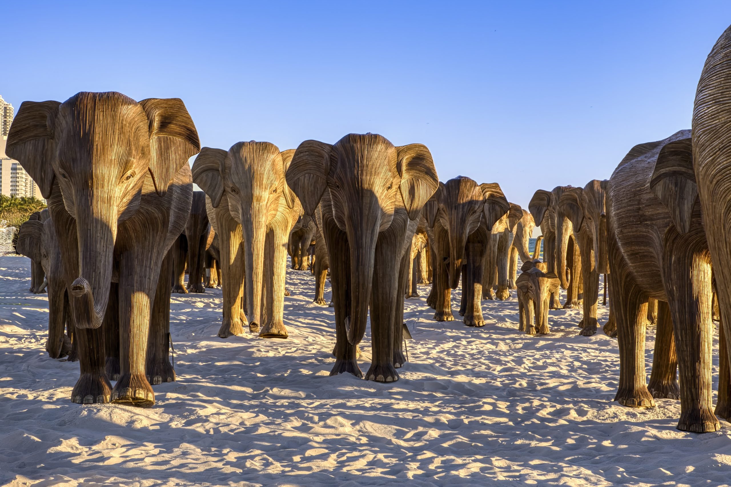 A photograph of "The Great Elephant Migration," a herd of 100 life-size wooden elephant sculpture, on the beach in Miami Beach.