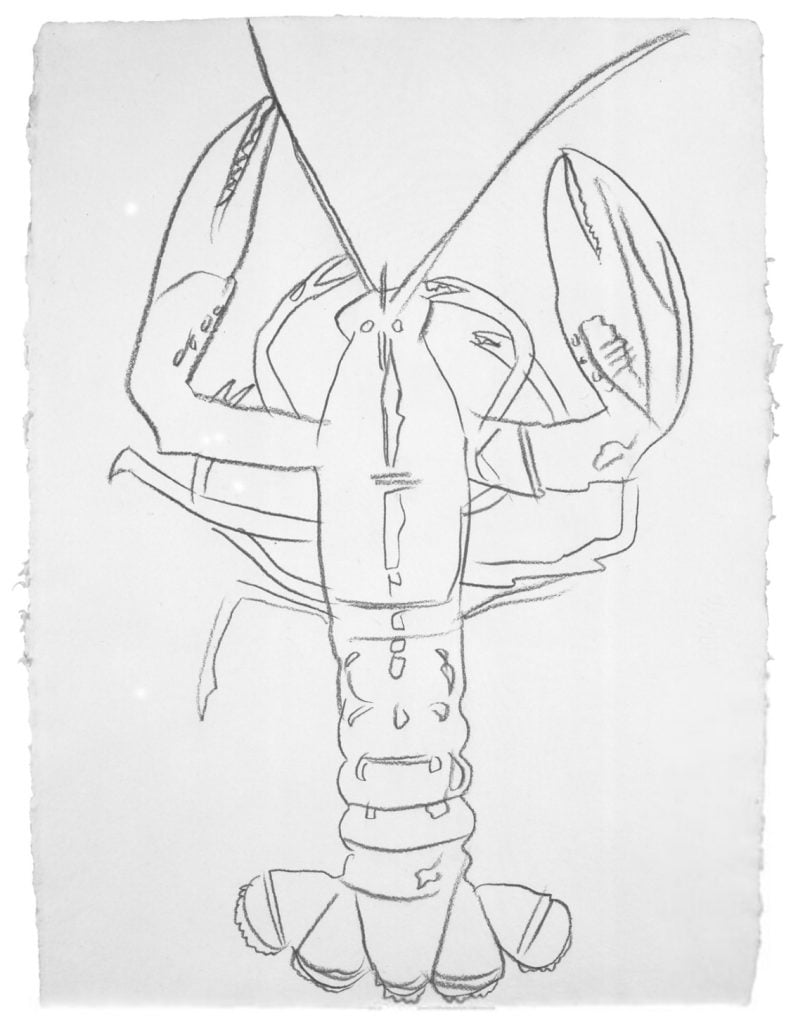 Outline pencil drawing on rough paper of a lobster by Andy Warhol, on offer from Leskovar Fine Art.