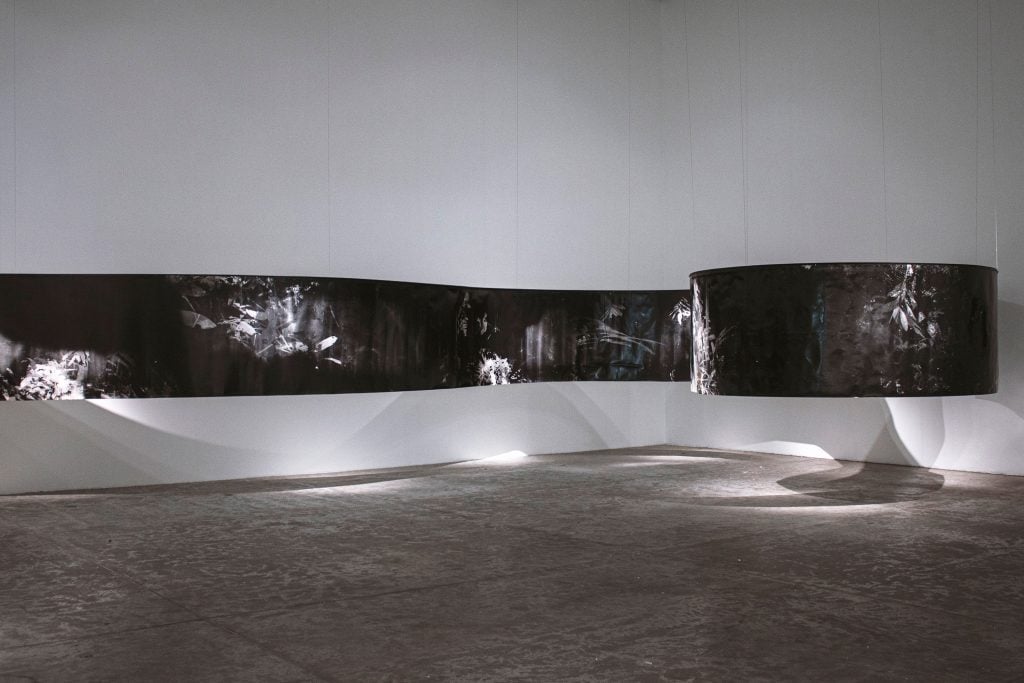 Installation view of Roberto Huarcaya’s series <I>Amazograma</I> at MUAC, Mexico, 2021. Courtesy of the artist and Rolf Art. Mexico