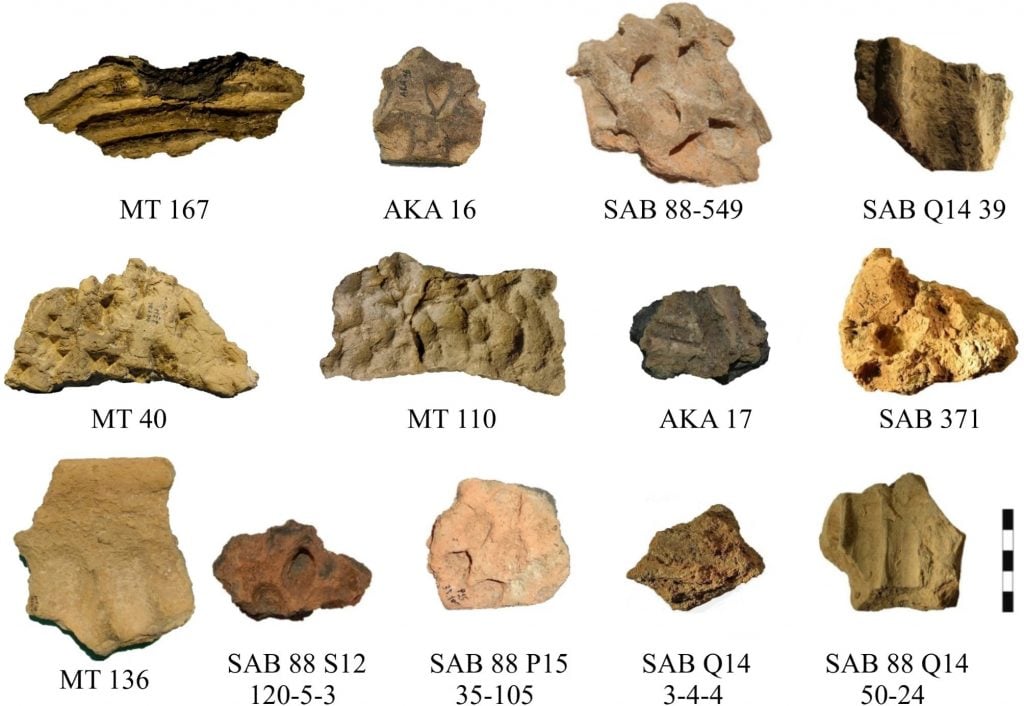 a collection of ceramic clay pottery shards in various hues of red, yellow and brown against a white background with short descriptions underneath each