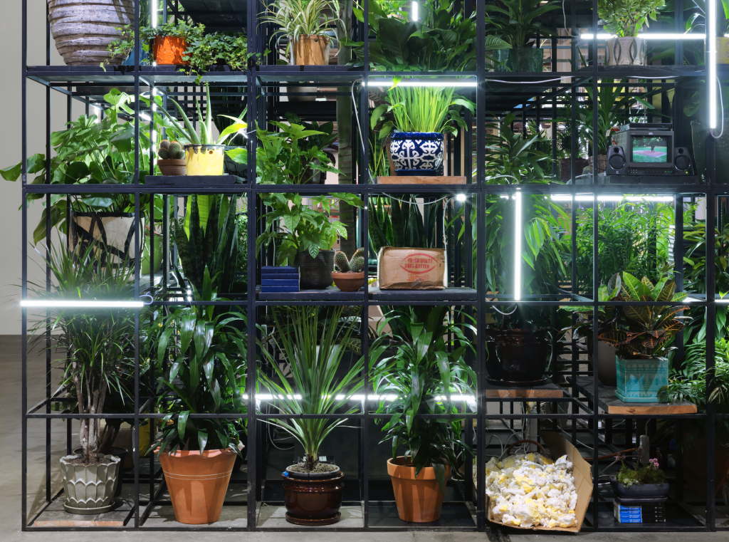 a large art installation featuring a grid like structure with live plants and grow lamps