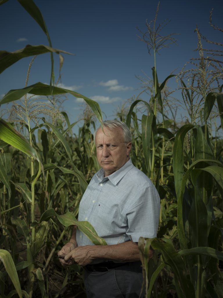 A man stands amid a field of corn, looking at the camera