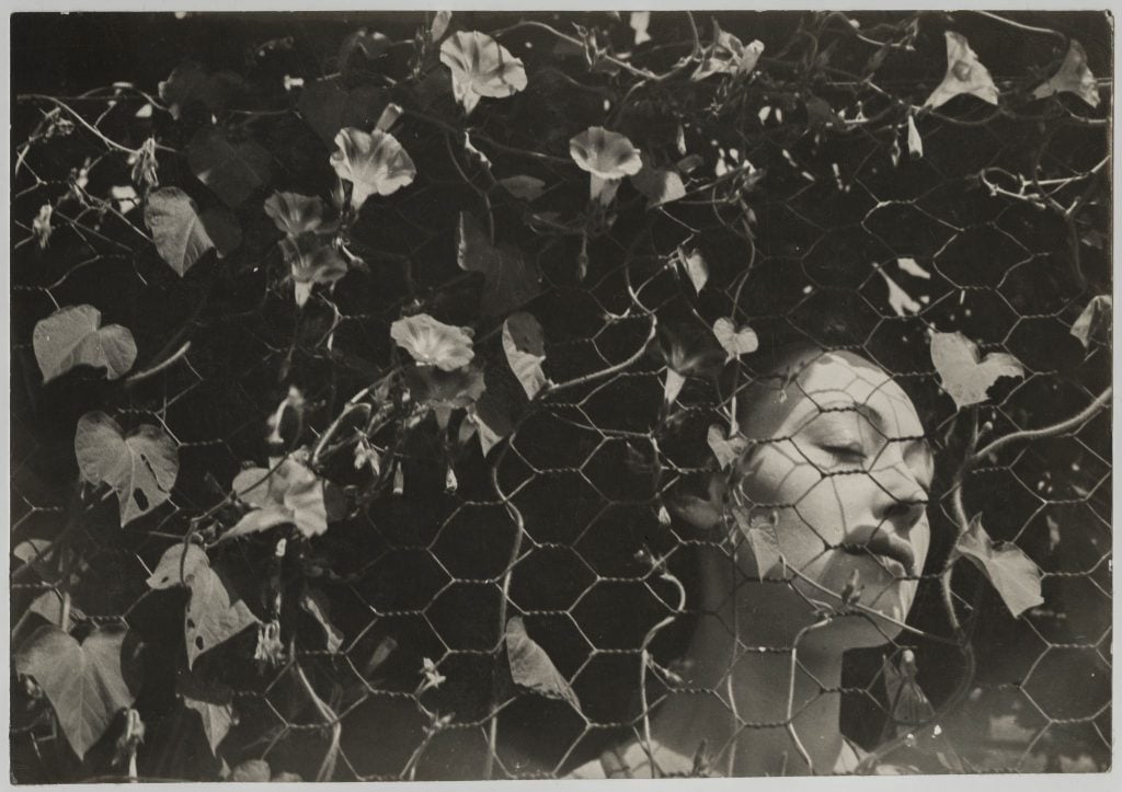 A black and white photograph depicting a woman peering down from behind a metal fence with leaved vines snaking it.