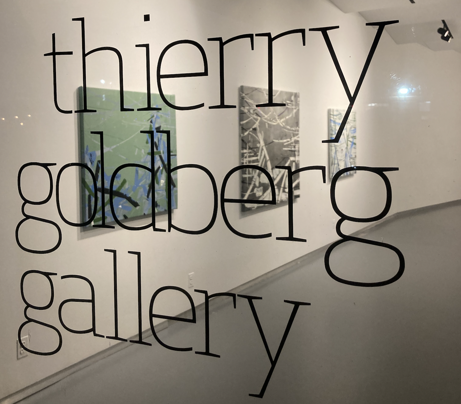 A photograph depicting paintings hanging inside a white-walled gallery, as seen through a window imprinted with the words Thierry Goldberg Gallery.