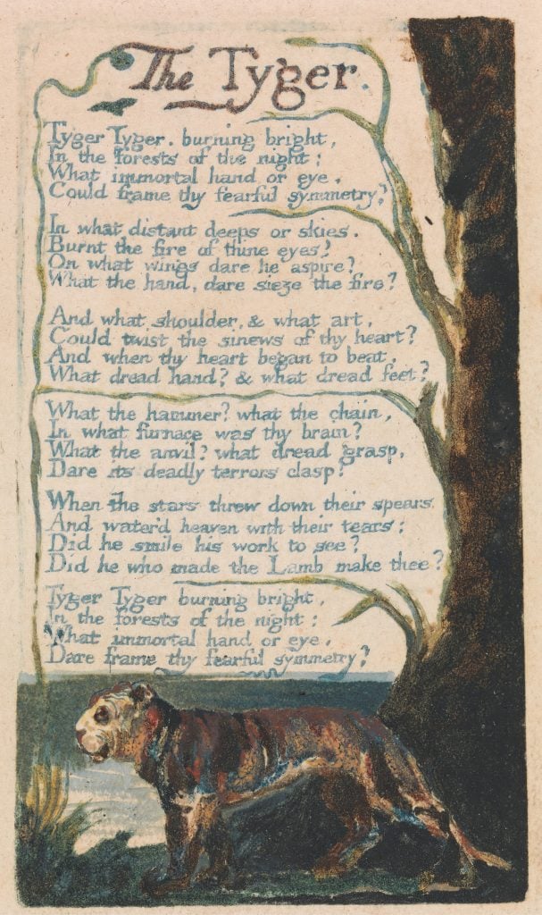 A page from a book of William Blake's poems, with the poem "The Tyger" written on it along with a drawing of a tiger