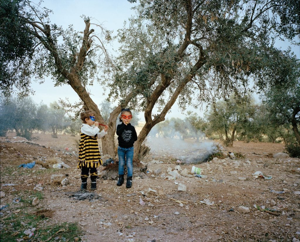 a photo of two young girls standing by an olive tree in a dusty landscape