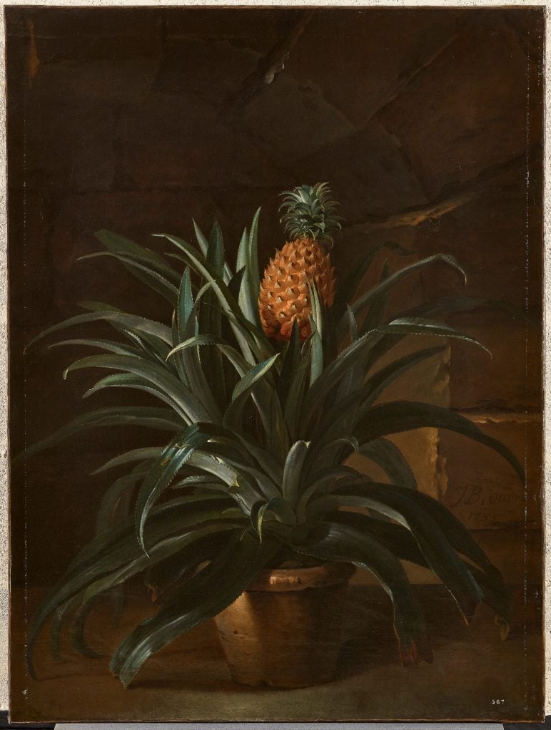 an old-fashioned painting of a pineappale plant in a pot in a dark interior scene