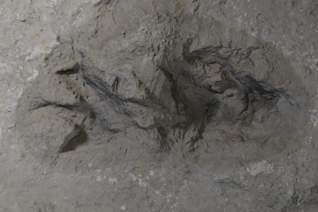 Close-up of a large, detailed dinosaur footprint in sediment, showing ridges and preserved claw impressions.