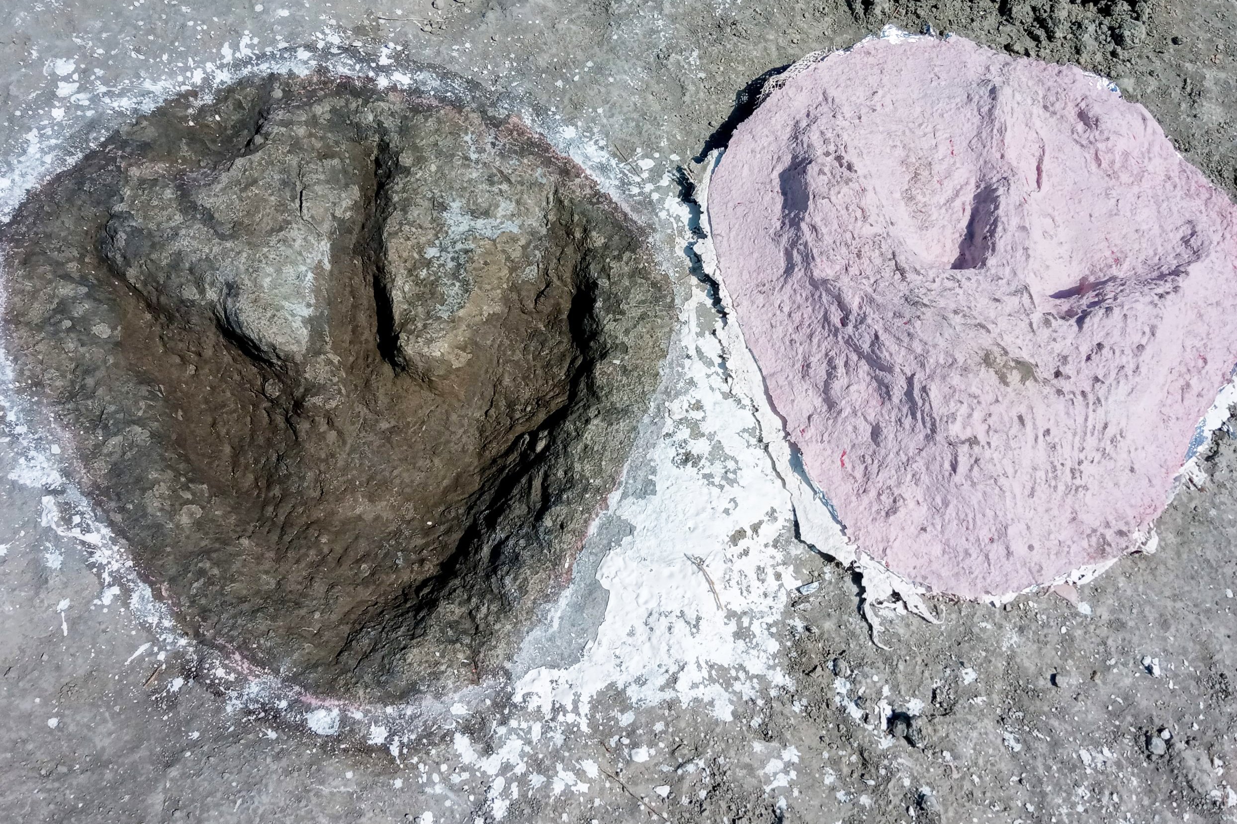 Fossils of giant animal footprints