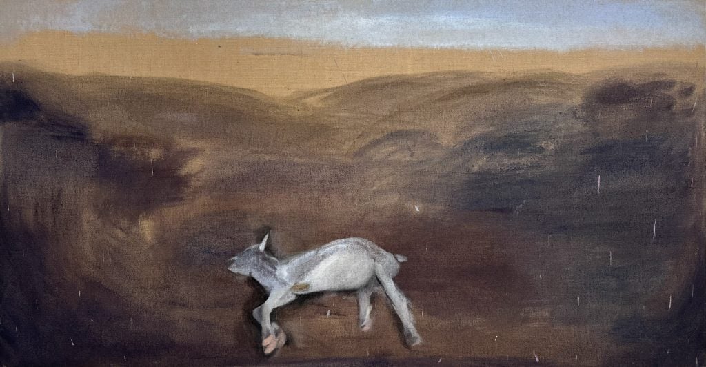 A distressed goat lying across a barren, moody landscape under a fading twilight sky, symbolizing vulnerability.