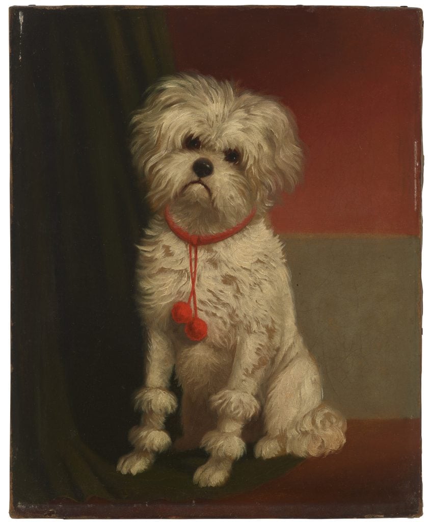 A charming painting of a fluffy Maltese dog with a red ribbon against a dark backdrop.