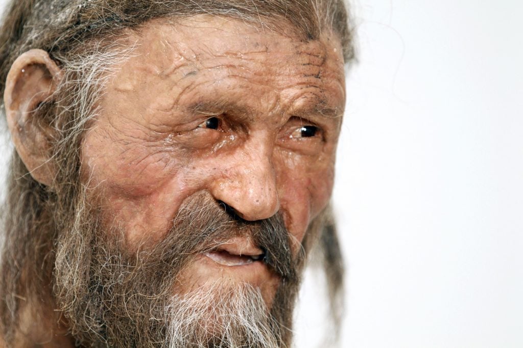 Genetic Study Reveals Surprising Ancestry of Prehistoric 'Iceman'