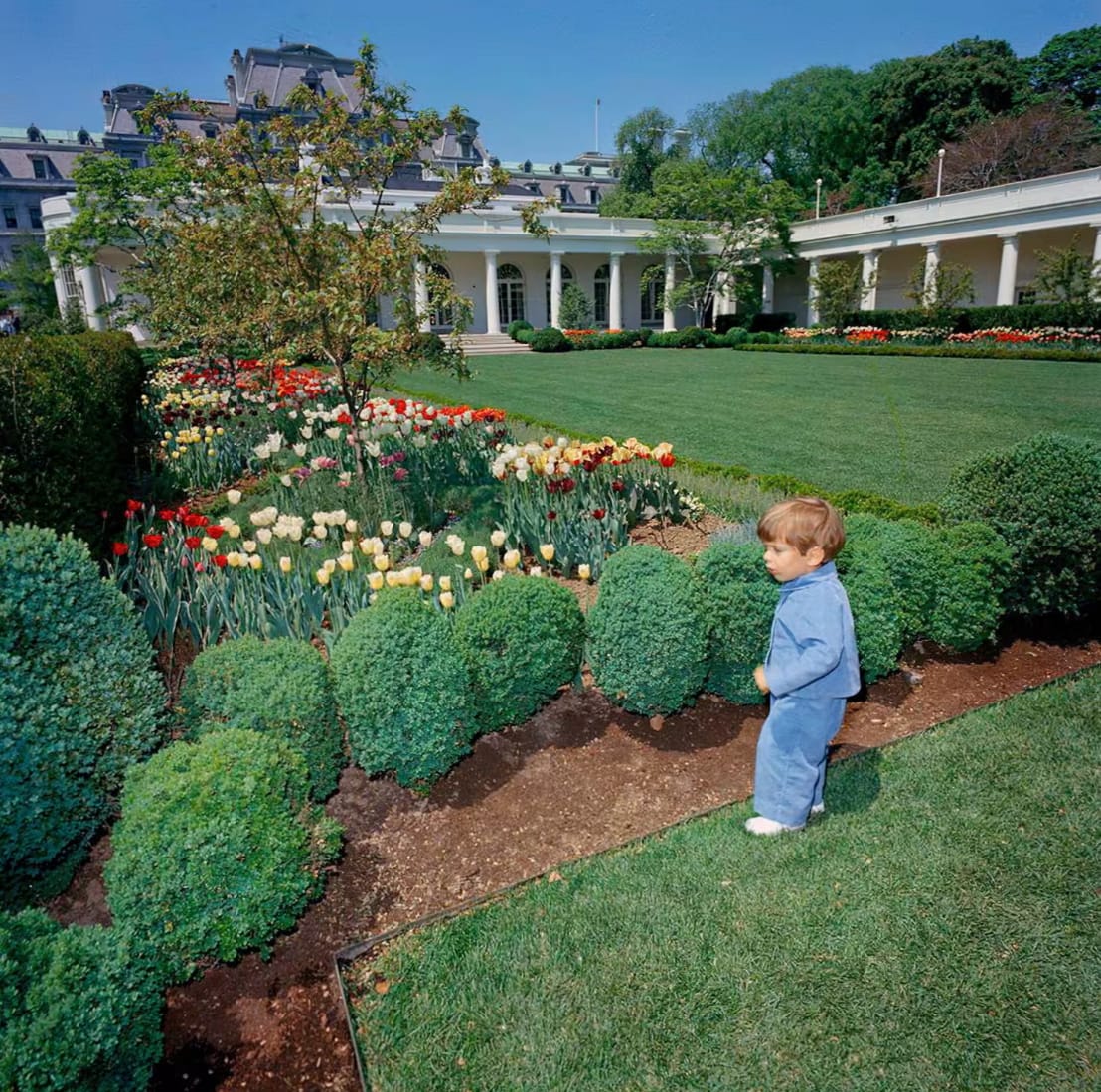 All the Ways Donald Trump Is Dramatically Redesigning the White House