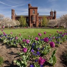 In a photo, a castle-like building of red stone appears in the background, with flowery gardens in the foreground on a sunny day