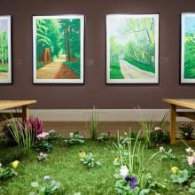 A gallery display featuring David Hockney’s vivid iPad landscapes of Woldgate, with real grass and flowers arranged beneath.