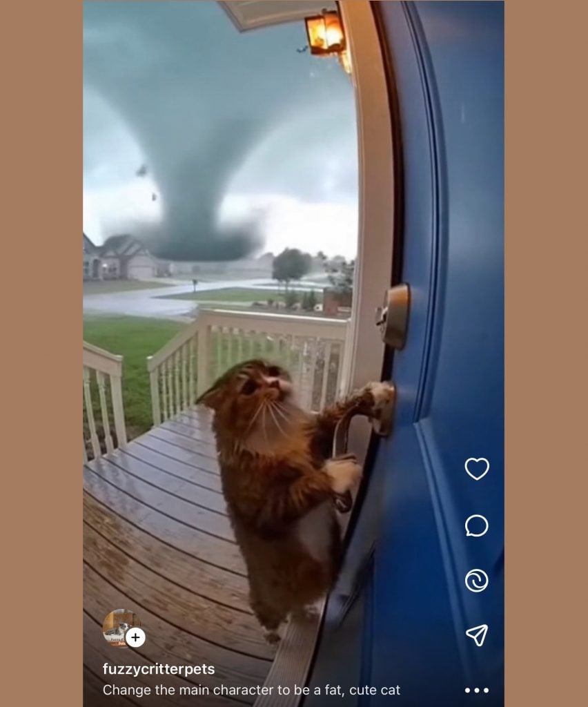 A frightened brown cat stands on its hind legs scratching at a blue front door, trying to get inside as a massive tornado looms in the background over a suburban neighborhood. Text on the image reads: “fuzzycritterpets — Change the main character to be a fat, cute cat.” Instagram interface icons appear along the right side.