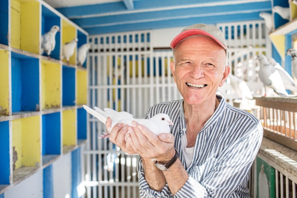 Anton van Dalen with his pigeons from the documentary Anton: Circling Home (2020). Photo by Anthony Lindsey.