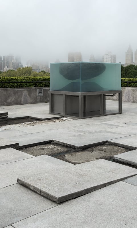 Pierre Huyghe's Roof Garden Commission for the Metropolitan Museum of Art, May 12 to November 1, 2015