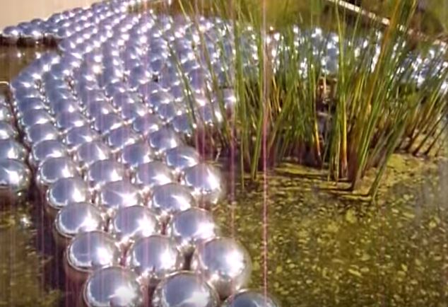 Yayoi Kusama, Narcissus GardenPhoto: Courtesy of YouTube.